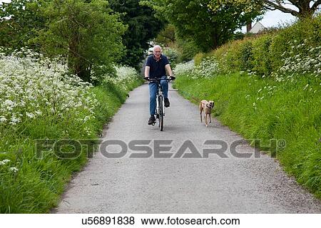Senior man riding bike on country lane with dog View Large Photo Image Stock Photo - Senior man riding bike on country lane with dog. Fotosearch