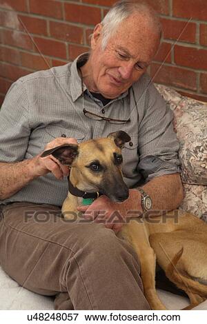 "Senior man, sitting, stroking pet dog" View Large Photo Image Stock Photo - "Senior man, sitting, stroking pet dog". Fotosearch