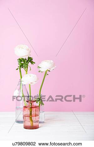 Still life of three white cut flowers in three bottles View Large Photo Image Stock Image - Still life of three white cut flowers in three bottles. Fotosearch