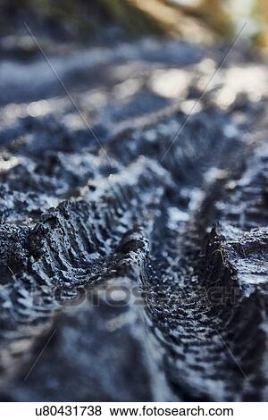 Stock Photo - Tire track. Fotosearch