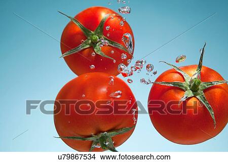 Tomatoes underwater View Large Photo Image Picture - Tomatoes underwater. Fotosearch