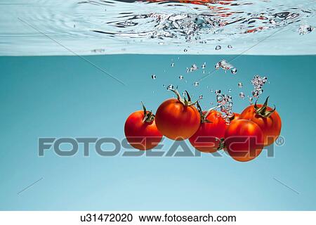 Tomatoes underwater View Large Photo Image Stock Image - Tomatoes underwater. Fotosearch