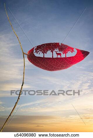 Tree cut out of leaf View Large Photo Image Stock Image - Tree cut out of leaf. Fotosearch
