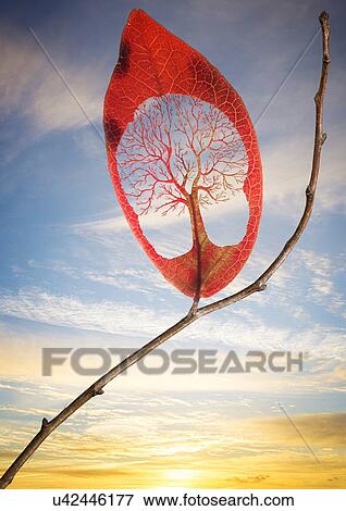 Tree cut out of leaf View Large Photo Image Stock Photo - Tree cut out of leaf. Fotosearch