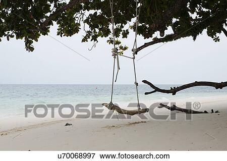 "Tree swing on empty beach, Kradan, Thailand" View Large Photo Image Stock Photo - "Tree swing on empty beach, Kradan, Thailand". Fotosearch