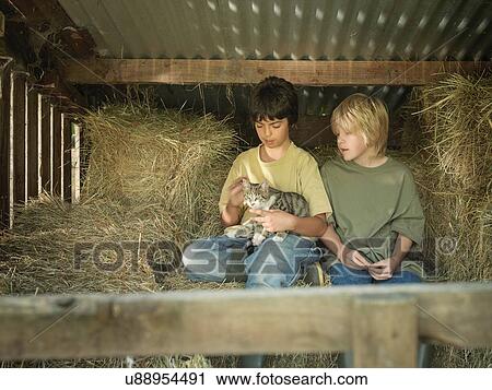 Stock Image - Two boys sitting with kitten in hay barn. Fotosearch
