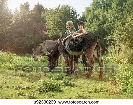 "Two boys with donkey in field, portrait" View Large Photo Image Stock Photo - "Two boys with donkey in field, portrait". Fotosearch