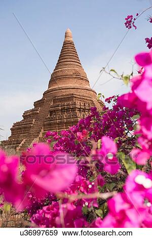 "Unlisted Buddhist stupa near the Shwesandaw pagoda, Bagan, Myanmar" View Large Photo Image Stock Photo - "Unlisted Buddhist stupa near the Shwesandaw pagoda, Bagan, Myanmar". Fotosearch