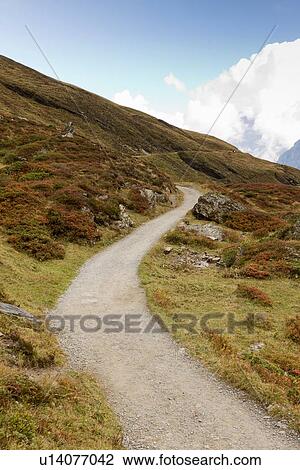 Stock Image - "View of dirt track on hillside, Grindelwald, Switzerland". Fotosearch