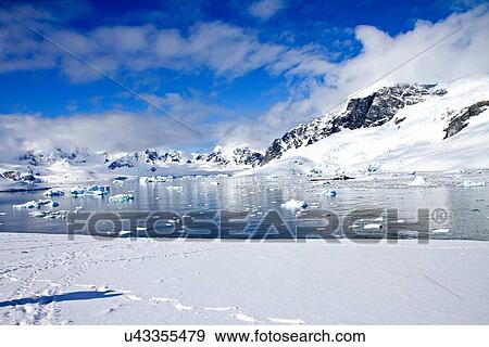"View of icebergs and mountains, Cuverville Island, Antarctica" View Large Photo Image Stock Photo - "View of icebergs and mountains, Cuverville Island, Antarctica". Fotosearch