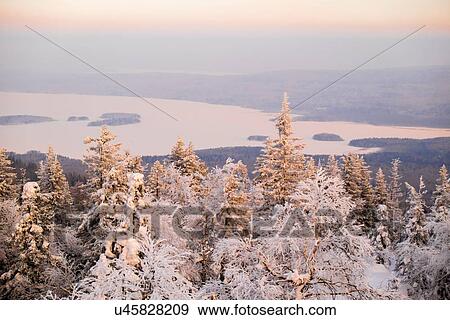 "View of snow covered tee tops and distant lake, Nizhniy Tagil, Sverdlovsk Region, Russia" View Large Photo Image Stock Photo - "View of snow covered tee tops and distant lake, Nizhniy Tagil, Sverdlovsk Region, Russia". Fotosearch