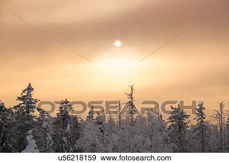 "View of snow covered tee tops and storm clouds, Nizhniy Tagil, Sverdlovsk Region, Russia" View Large Photo Image Stock Photo - "View of snow covered tee tops and storm clouds, Nizhniy Tagil, Sverdlovsk Region, Russia". Fotosearch
