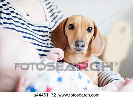Stock Image - Woman holding baby and dog. Fotosearch