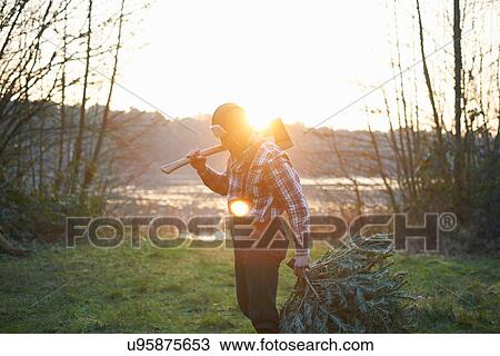 Woodsman with axe over his shoulder in forest at sunset View Large Photo Image Stock Image - Woodsman with axe over his shoulder in forest at sunset. Fotosearch