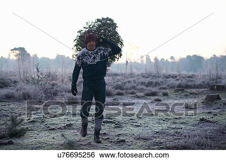 Stock Photograph - Woodsman with fir tree over his shoulder in forest clearing. Fotosearch