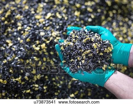 "Worker holding recycled plastic in plastics factory, close up" View Large Photo Image Stock Image - "Worker holding recycled plastic in plastics factory, close up". Fotosearch