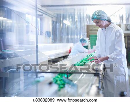Worker inspecting chocolate on production line in chocolate factory View Large Photo Image Stock Photo - Worker inspecting chocolate on production line in chocolate factory. Fotosearch