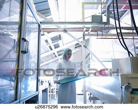 Stock Photograph - Worker inspecting chocolates in moulds in chocolate factory. Fotosearch