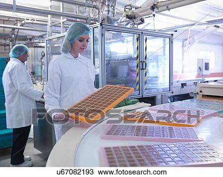 Worker inspecting moulded chocolates in chocolate factory View Large Photo Image Stock Image - Worker inspecting moulded chocolates in chocolate factory. Fotosearch