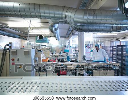 Stock Photo - Workers making chocolates on production line in chocolate factory. Fotosearch