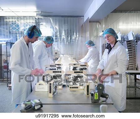 Stock Photography - Workers packing chocolates on production line in chocolate factory. Fotosearch