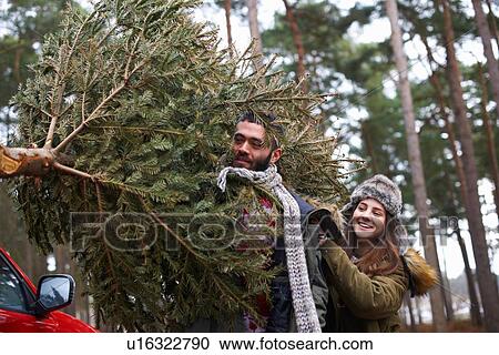 Young couple carrying Christmas tree on shoulders in car park View Large Photo Image Stock Image - Young couple carrying Christmas tree on shoulders in car park. Fotosearch