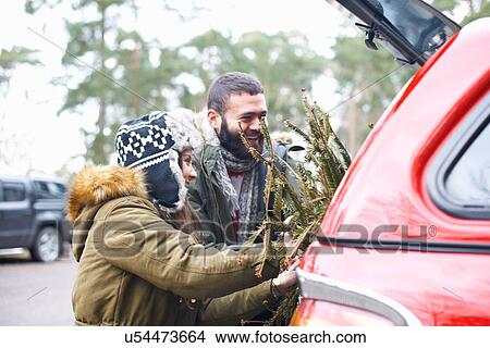 Young couple with Christmas tree into car boot View Large Photo Image Picture - Young couple with Christmas tree into car boot. Fotosearch