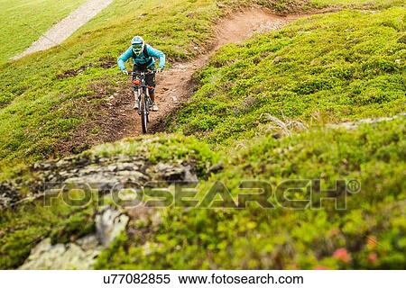 Stock Photography - Young female mountain biker cycling up hillside track. Fotosearch