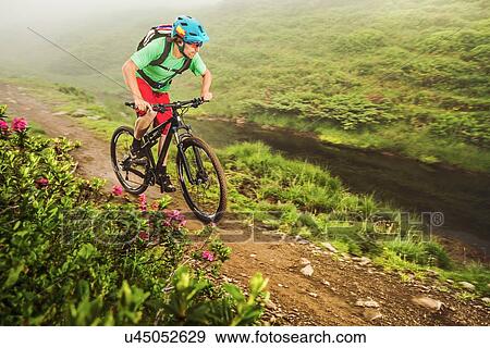 Young male mountain biker cycling next to stream View Large Photo Image Stock Photo - Young male mountain biker cycling next to stream. Fotosearch