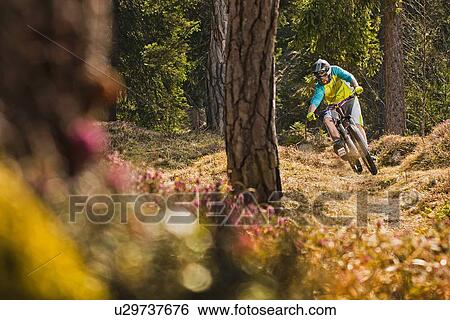 Stock Photograph - Young male mountain biker cycling downhill in forest. Fotosearch