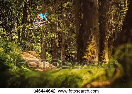 Young male mountain biker jumping mid air in forest View Large Photo Image Stock Image - Young male mountain biker jumping mid air in forest. Fotosearch
