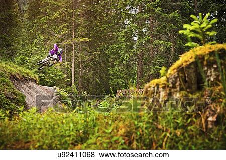 Young male mountain biker jumping over forest gully View Large Photo Image Stock Photo - Young male mountain biker jumping over forest gully. Fotosearch