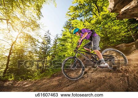 Young man downhill mountain biking in forest View Large Photo Image Stock Image - Young man downhill mountain biking in forest. Fotosearch