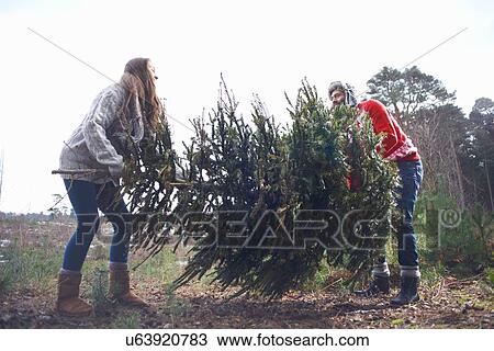 Stock Image - Young man lifting Christmas tree in woods. Fotosearch