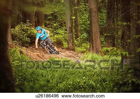 Young man mountain biking in forest View Large Photo Image Stock Photograph - Young man mountain biking in forest. Fotosearch
