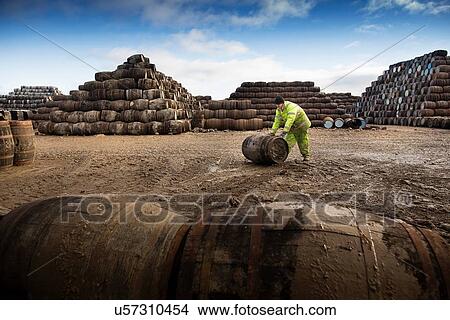 Young man rolling whisky cask at cooperage View Large Photo Image Picture - Young man rolling whisky cask at cooperage. Fotosearch