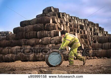 Young man rolling whisky cask at cooperage View Large Photo Image Stock Photo - Young man rolling whisky cask at cooperage. Fotosearch