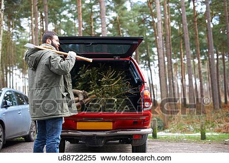 Stock Photography - Young man with axe and chopped Christmas tree in car boot. Fotosearch