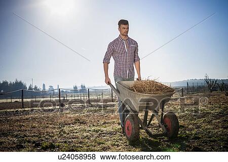 Young man with wheelbarrow in field View Large Photo Image Stock Photo - Young man with wheelbarrow in field. Fotosearch