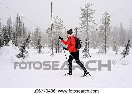 "Young woman nordic walking in snow covered forest, Posio, Lapland, Finland" View Large Photo Image Stock Photograph - "Young woman nordic walking in snow covered forest, Posio, Lapland, Finland". Fotosearch