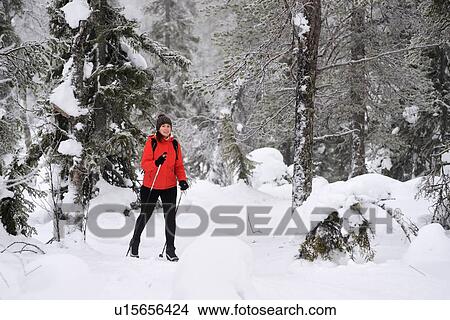 Picture - "Young woman nordic walking through snow covered forest, Posio, Lapland, Finland". Fotosearch