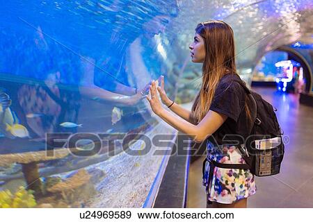 "Young woman watching fish in seawater aquarium, Manila, Philippines" View Large Photo Image Stock Photo - "Young woman watching fish in seawater aquarium, Manila, Philippines". Fotosearch