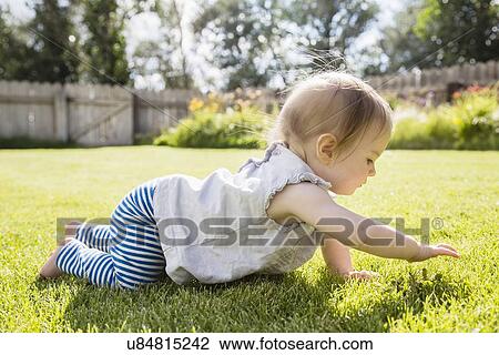 Baby girl (6-11 months) crawling View Large Photo Image Stock Image - Baby girl (6-11 months) crawling. Fotosearch
