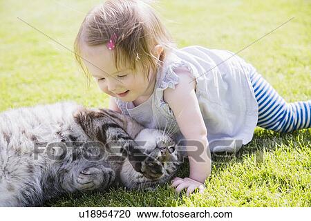 Baby girl (6-11 months) playing with cat View Large Photo Image Stock Image - Baby girl (6-11 months) playing with cat. Fotosearch