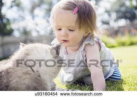 Picture - Baby girl (6-11 months) playing with cat playing with cat. Fotosearch