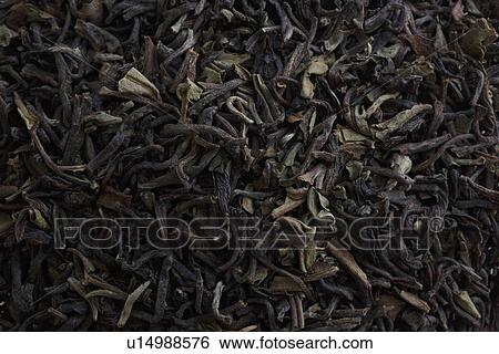 Black and green tea leaves View Large Photo Image Stock Photograph - Black and green tea leaves. Fotosearch