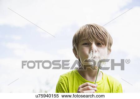 Stock Photography - Boy (6-7) blowing dandelion. Fotosearch