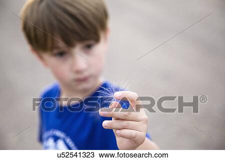 Stock Image - Boy (6-7) holding dandelion seed. Fotosearch