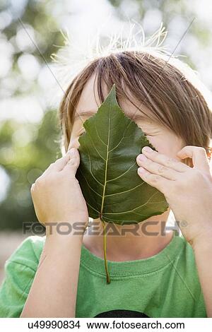 Boy (6-7) holding leaf on face View Large Photo Image Picture - Boy (6-7) holding leaf on face. Fotosearch