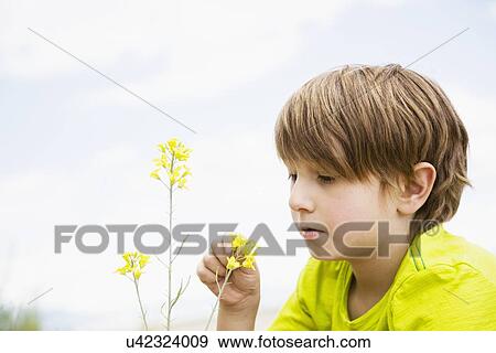 Stock Photo - Boy (6-7) touching wildflower. Fotosearch
